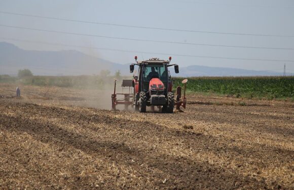 Kırsal kalkınmaya 246,6 milyar liralık yatırım
