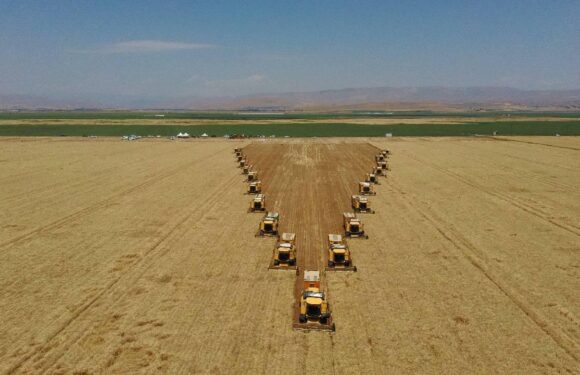 5,6 milyar liralık tarımsal destekleme ödemesi bugün yapılacak