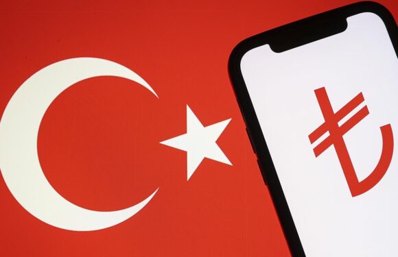 Dijital Türk lirası şekilleniyor