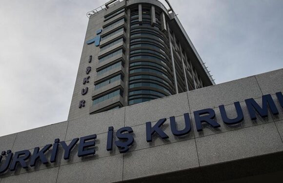 İŞKUR aracılığıyla istihdam destekleyici uygulamalar devam ediyor