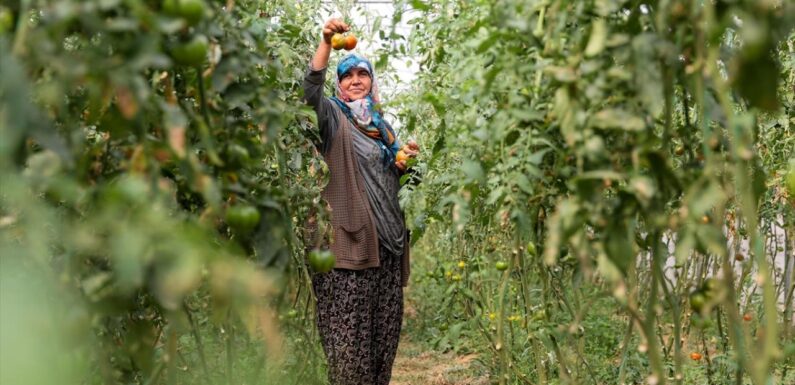 Kırsal kalkınma destekleri için son başvuru 21 Nisan