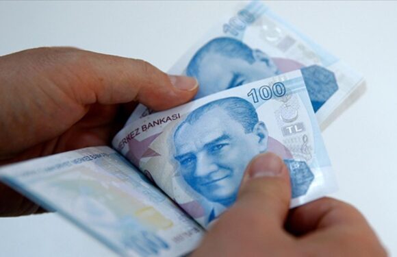 Emeklilerin bayram ikramiyesi fark ödemeleri başlıyor