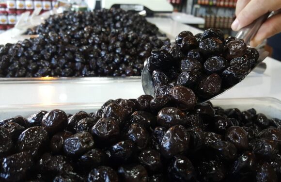 Türkiye sofralık zeytin üretiminde zirveye yerleşti