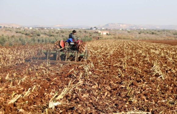 Çiftçilere 5,5 milyar lira destek ödemesi