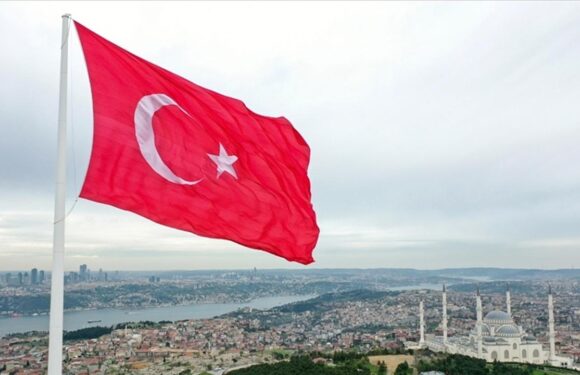 OECD: Türkiye son 10 yılda en hızlı büyüyen ekonomiler arasında