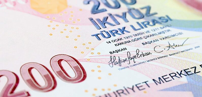 Türk lirasını destekleyecek yeni adımlar devreye girdi