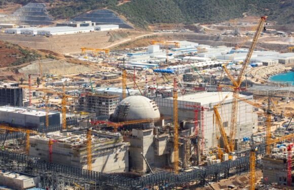 Akkuyu Nükleer Santrali’nde RusTürk ortak tatbikatı planlanıyor