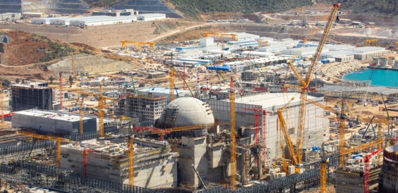 Akkuyu Nükleer Santrali’nde RusTürk ortak tatbikatı planlanıyor