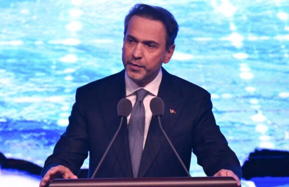 Bakan Bayraktar: Yeni bir ‘rekor kurulu gücü’ devreye alacağız