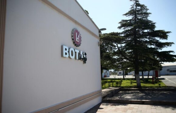 BOTAŞ Daire Başkanı Oğuz, IGU İcra Komitesi üyeliğine seçildi