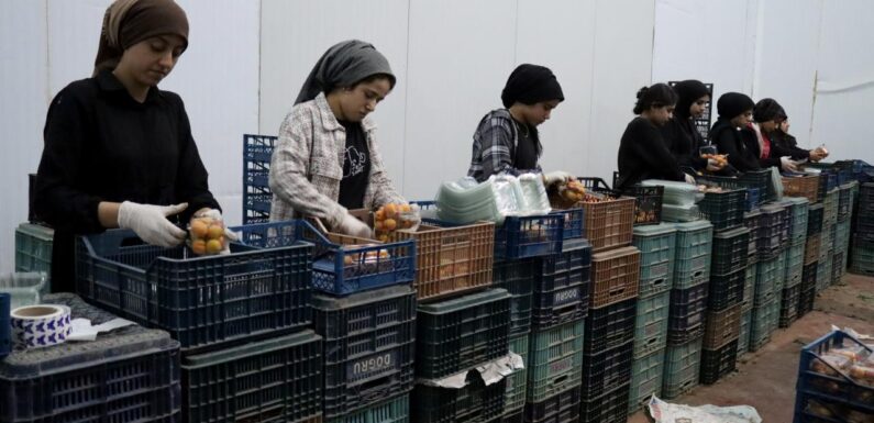 TKDK’den depremzede girişimcilere 200 milyon liralık destek