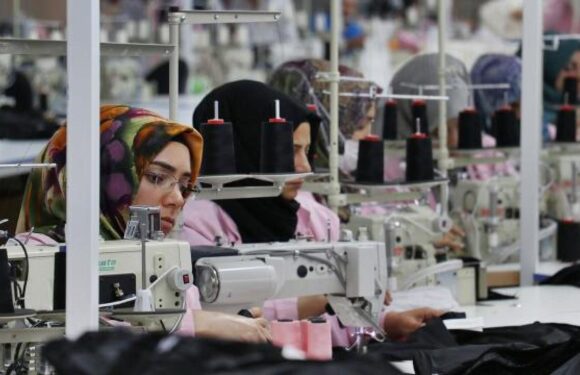 İŞKUR, çalışan annelere 348,2 milyon lira destek verdi