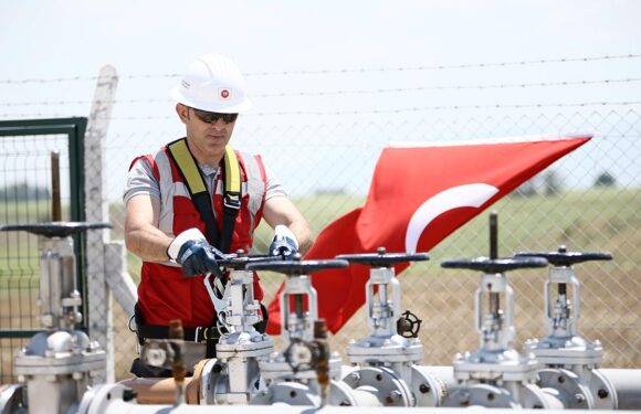 TPAO’nun İstanbul ve Tekirdağ’da petrol arama ruhsatı uzatıldı