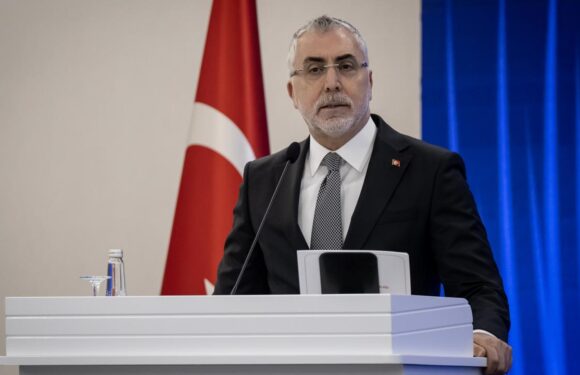 Bakan Işıkhan: Ev kadınlarına emeklilik hakkı tanıyacağız