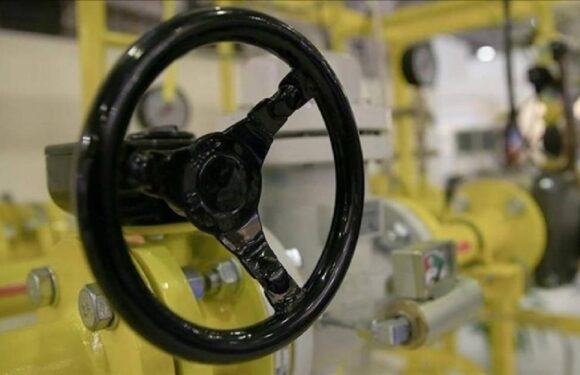 LPG ithalatı nisanda yüzde 17,5 azaldı