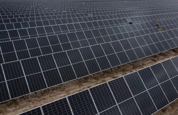 Sierra Leone’den 34 milyon euroluk güneş enerjisi projesi