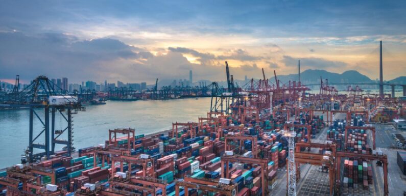 D8 ülkeleriyle yapılan ticaret 126,6 milyar dolara ulaştı