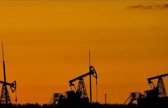 Brent petrolün varili 73,77 dolar
