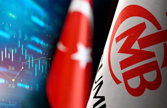 Uzmanlar TCMB’nin temmuzda faiz indirimine başlamasını bekliyor