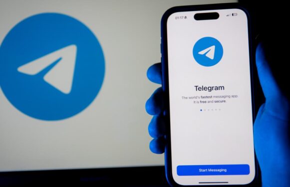 Telegram’daki telif hakkı ihlalleri markaların reklamlarıyla büyüyor