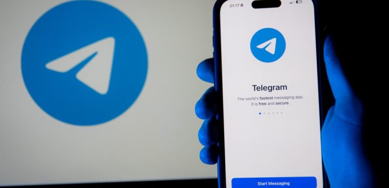 Telegram’daki telif hakkı ihlalleri markaların reklamlarıyla büyüyor