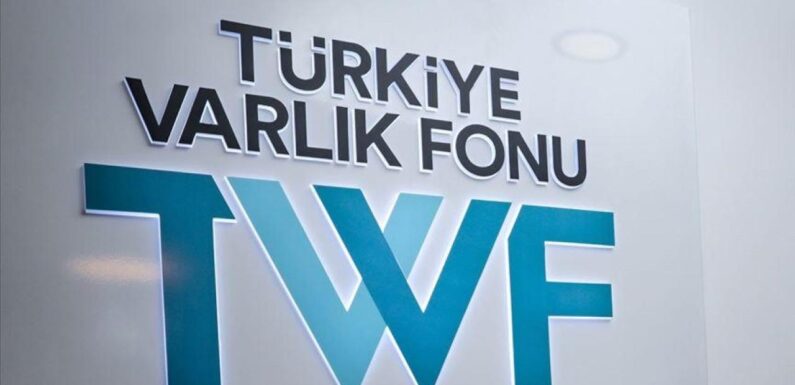 Kamu sigorta şirketlerinin dönüşüm süreci tamamlandı