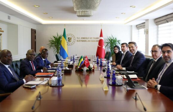 Bakan Bayraktar, Gabonlu bakanlarla görüştü