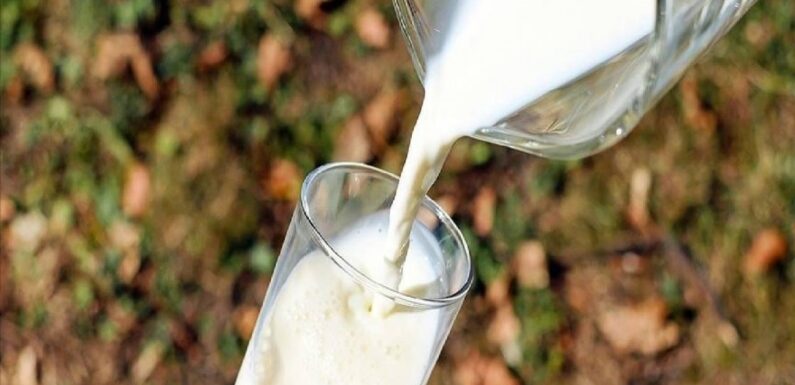 Çiğ inek sütü tavsiye satış fiyatı belirlendi