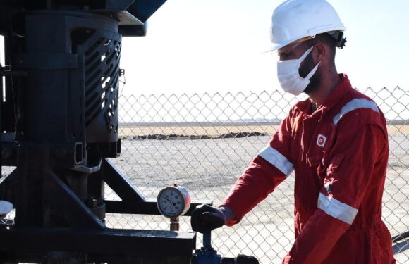 Türkiye’nin petrol ithalatı mayısta yüzde 10,4 düştü
