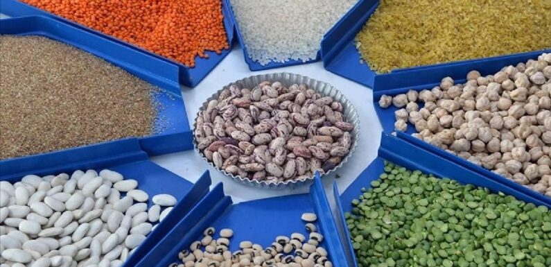 Güneydoğu’nun Afrika ülkelerine hububat ihracatı yüzde 32,9 arttı