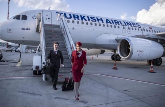 THY dört farklı kategoride kabin memuru alacak