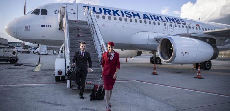 THY dört farklı kategoride kabin memuru alacak