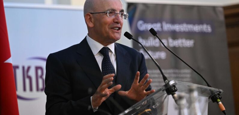 Bakan Şimşek: Türk lirasındaki oynaklık önemli ölçüde azaldı