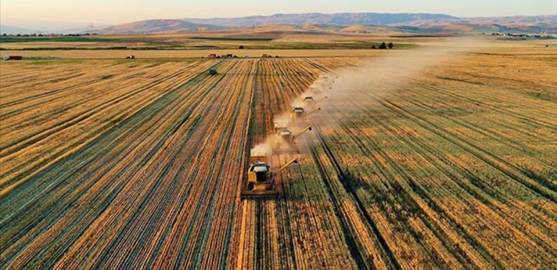 Çiftçilere 1,7 milyar liralık destekleme ödemesi yapılacak