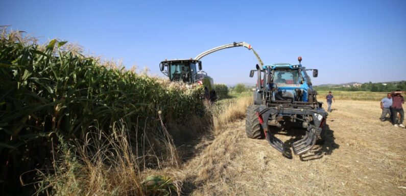 Çiftçilere yaklaşık 827 milyon lira destek ödemesi yapılacak