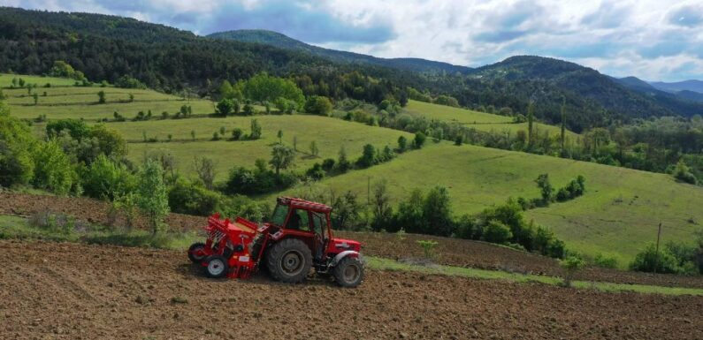 Çiftçilere 865 milyon liralık destekleme ödemesi bugün yapılacak