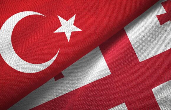 TürkiyeGürcistan Serbest Ticaret Anlaşması’nın menşe kuralları revize edilecek