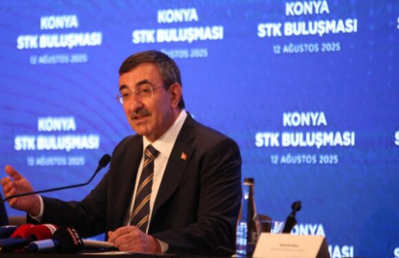 Cevdet Yılmaz: Enflasyondaki düşüş 14 aydır kesintisiz sürüyor