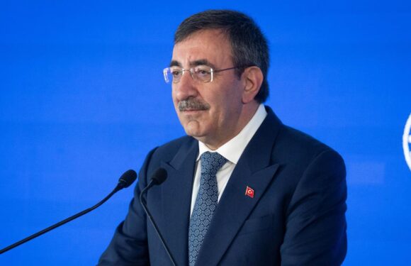Cevdet Yılmaz: Dezenflasyon süreci güç kazanacak