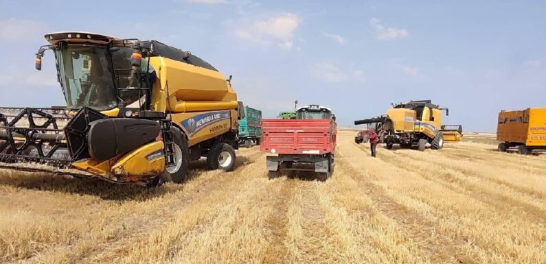 7 ayda 7,1 milyar dolarlık hububat ihracatı yapıldı