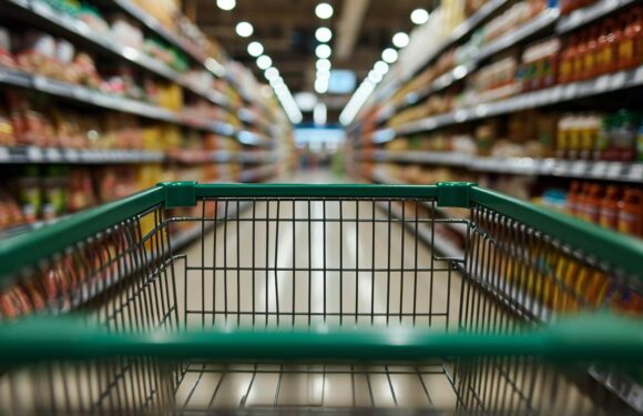 Market fiyatı uygulaması artık mobilde