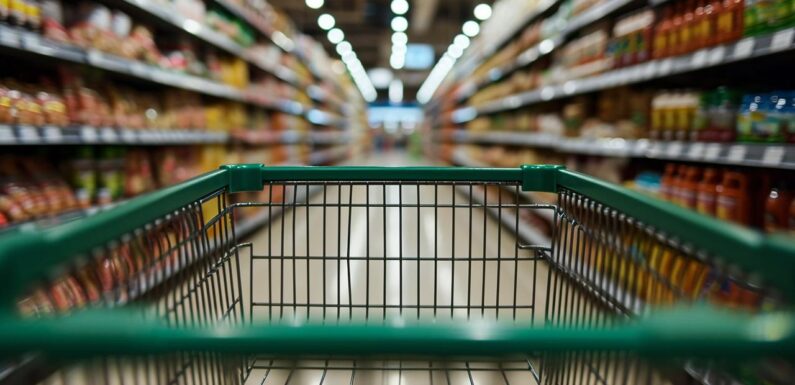 Market fiyatı uygulaması artık mobilde