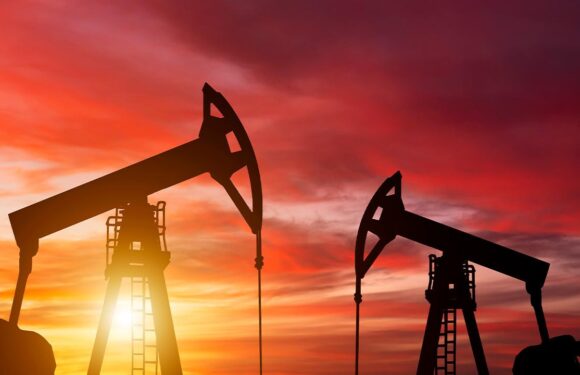 Petrol ve doğal gazda yerli üretim hız kesmeden sürüyor