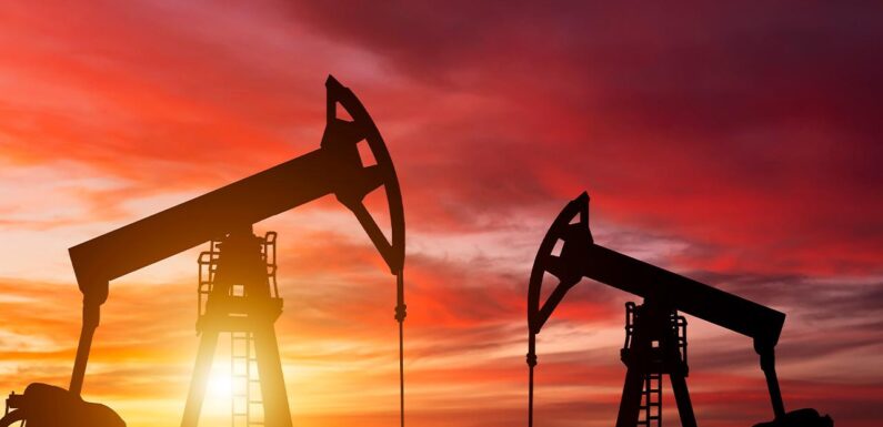 Petrol ve doğal gazda yerli üretim hız kesmeden sürüyor