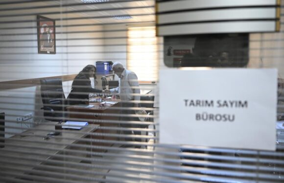 Tarım sayımı için kurulan bürolarda yoğunluk başladı