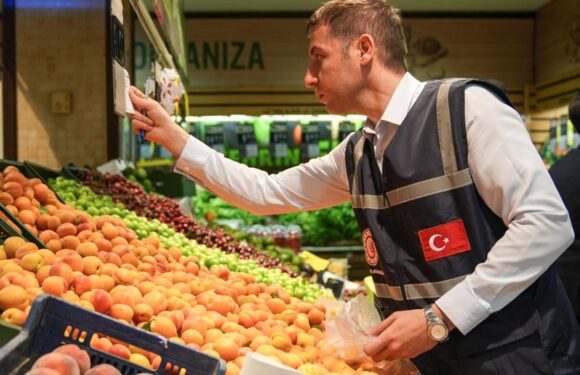 331 bin firma ve 20 milyon ürüne denetim