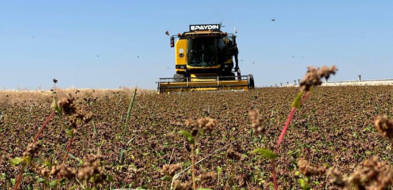 Çiftçilere destekleme ödemesi bugün yapılacak