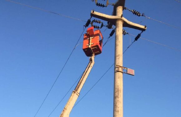 ‘Elektrik Arıza İhbar Uygulaması’ artık eDevlet kapısında
