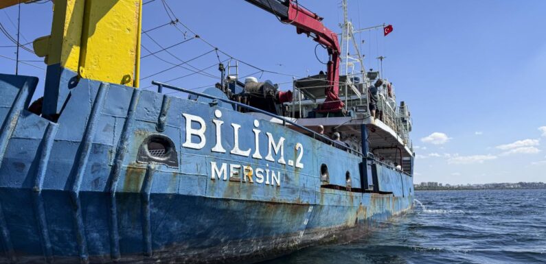 Akdeniz suyu Marmara’nın yüzeyini temizledi