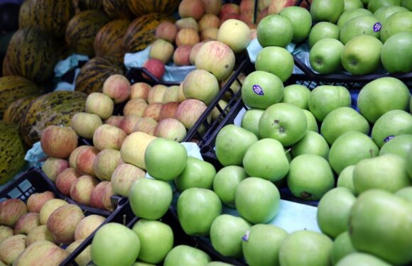 Elma ve limonun ihracatı kayda bağlandı